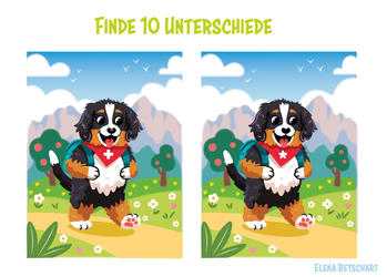 Balu the Bernese Mountain Dog