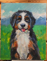 Balu the Bernese Mountain Dog