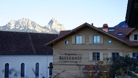 Balu the Bernese Mountain Dog